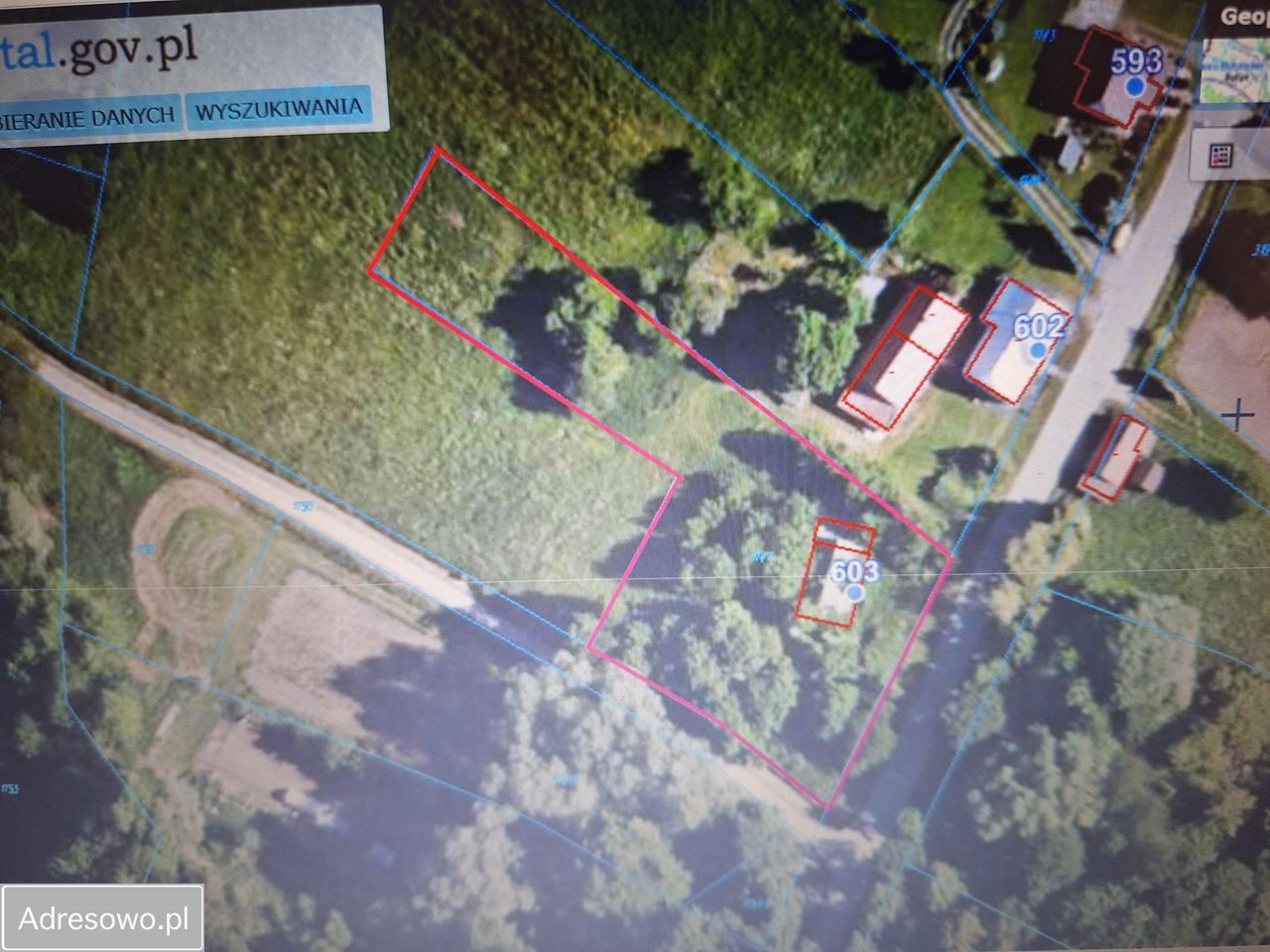 Działka rolno-budowlana Kąkolówka Nawsie. Zdjęcie 2