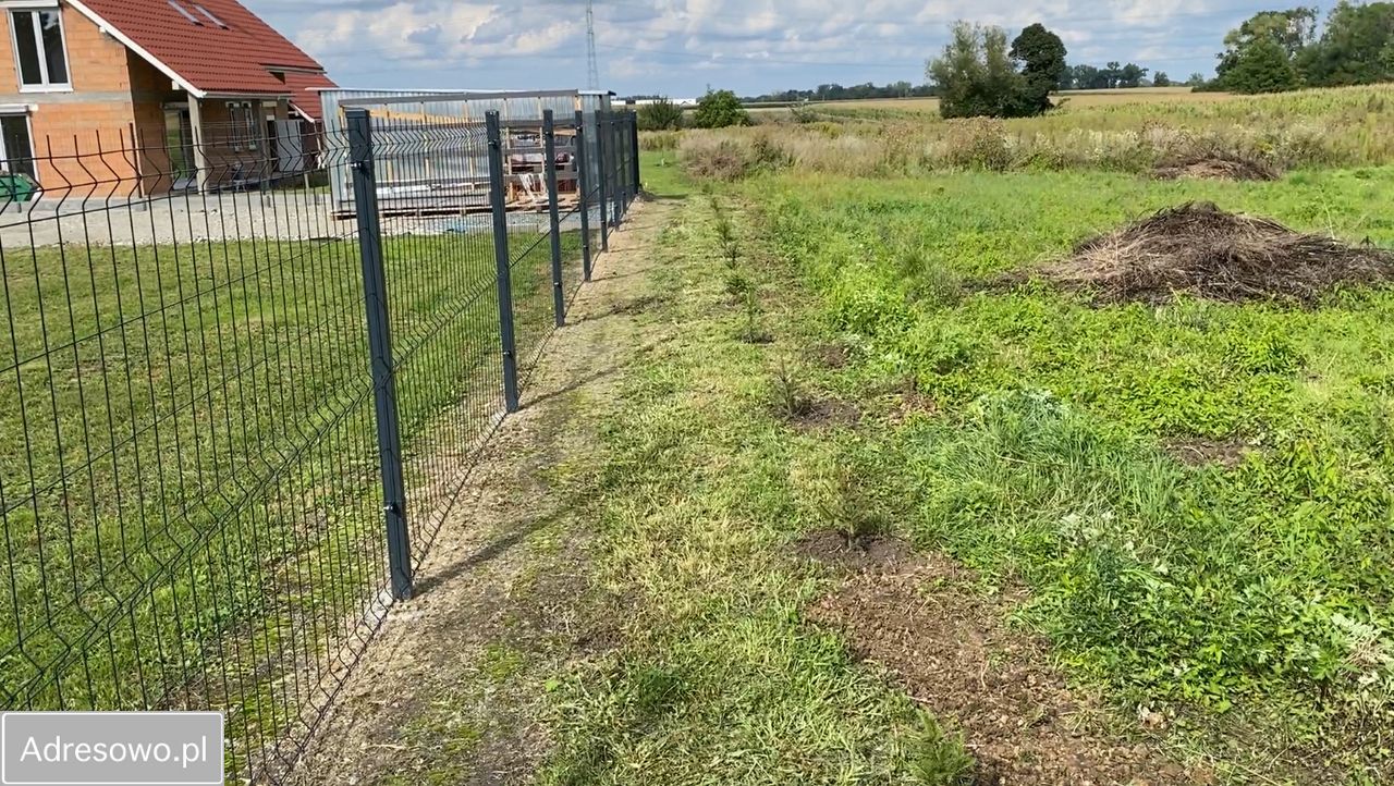 Działka budowlana Polakowice, ul. Akacjowa. Zdjęcie 3