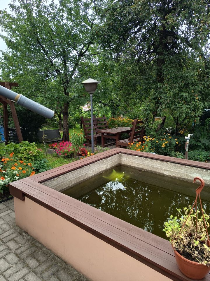 Działka rod Zielona Góra Jędrzychów, ul. Botaniczna. Zdjęcie 6