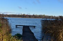 Działka rekreacyjna Dąbrówno, Wzgórze Letniskowe Dąbrowa. Zdjęcie 1