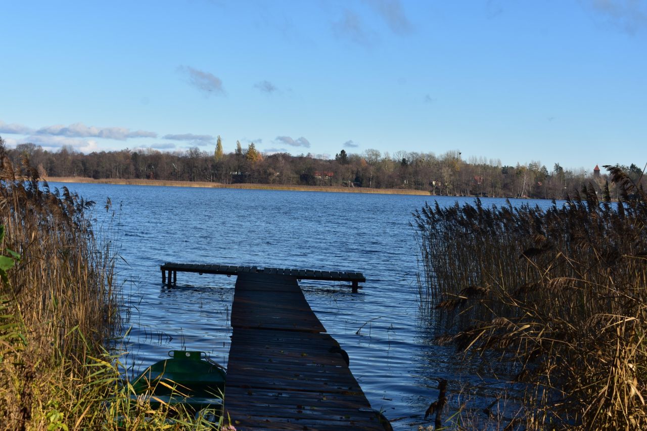 Działka rekreacyjna Dąbrówno, Wzgórze Letniskowe Dąbrowa. Zdjęcie 2