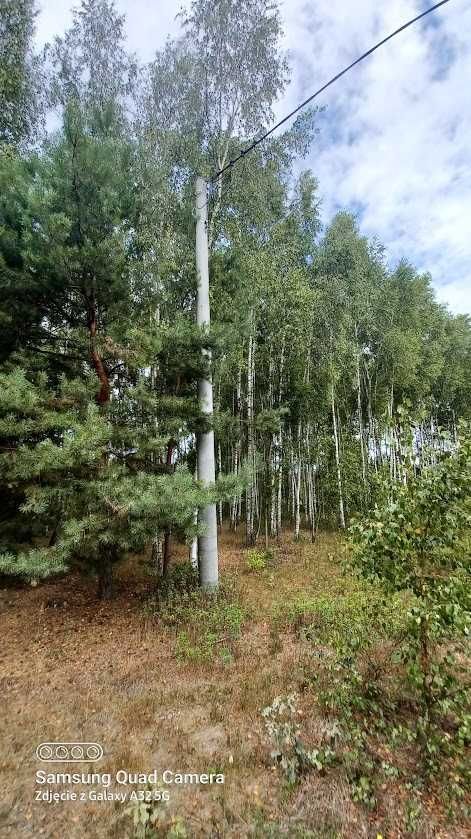 Działka budowlana Chrzęsne, ul. Zamkowa. Zdjęcie 5