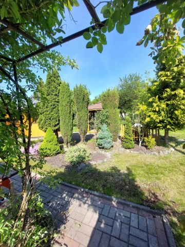 Działka rekreacyjna Ruda Śląska Nowy Bytom. Zdjęcie 1