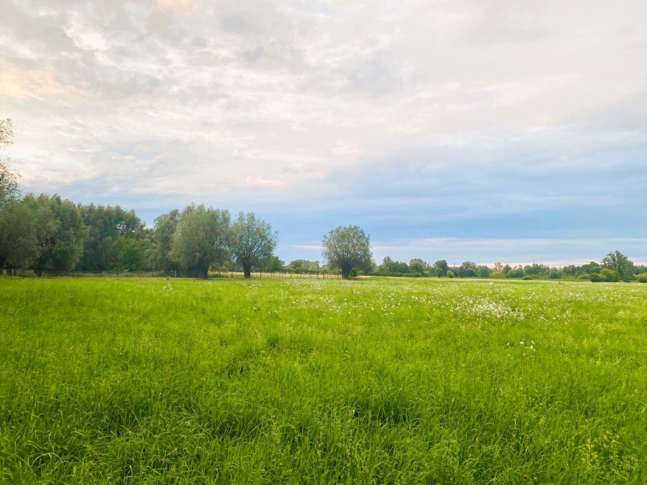 Działka budowlana Cząstków Mazowiecki