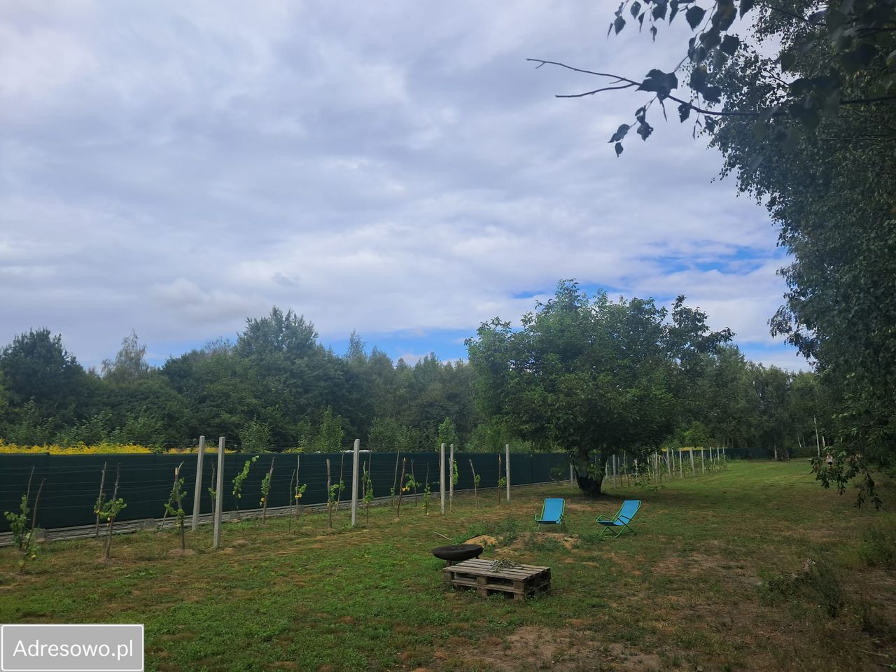 Działka rolno-budowlana Strojec, ul. Zacisze. Zdjęcie 18