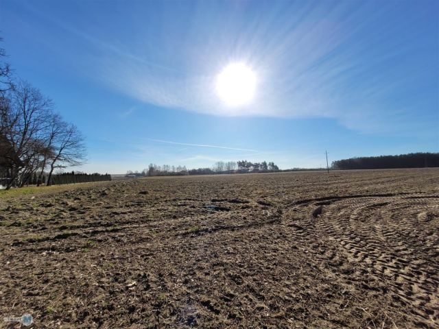 siedlisko, 2 pokoje Trzciniec. Zdjęcie 11