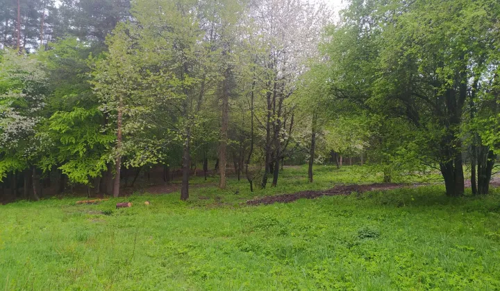 Działka Trzepieciny