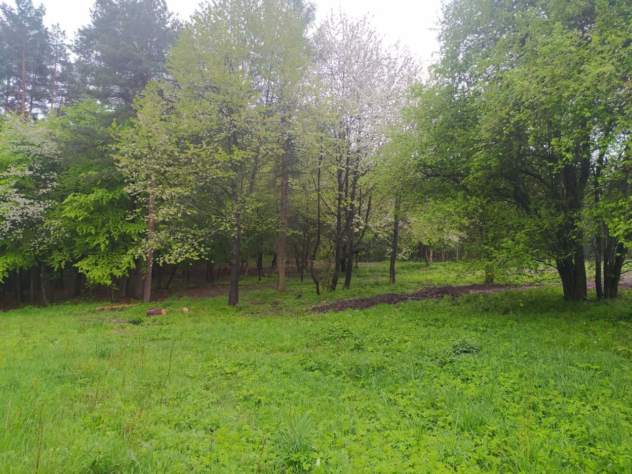 Działka Trzepieciny. Zdjęcie 1