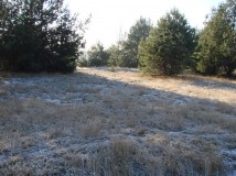 Działka rolno-budowlana Rędziny. Zdjęcie 2