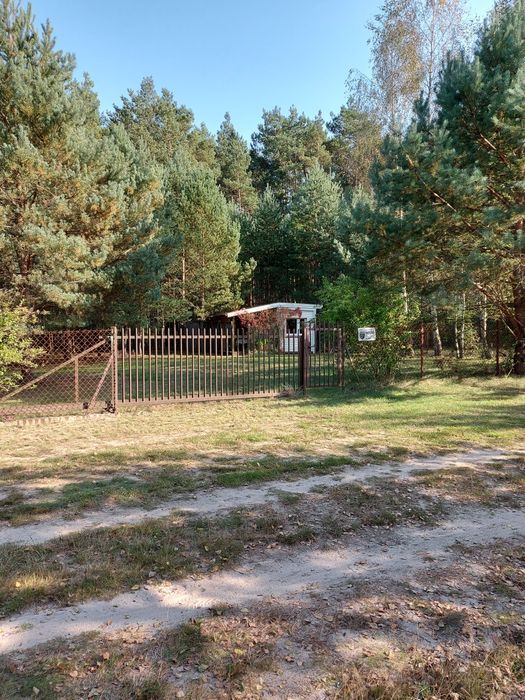 Działka rekreacyjna Mariew