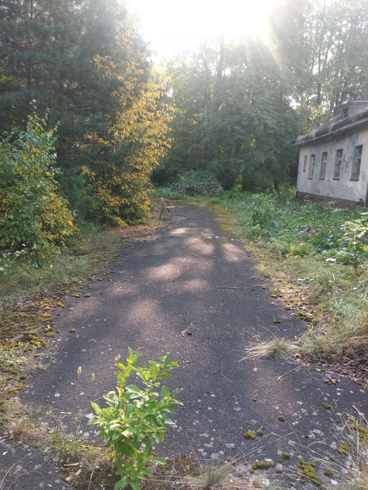 dom wolnostojący Bemowo Piskie, ul. Lipowa. Zdjęcie 23