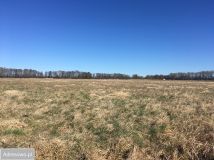 Działka Lędowo. Zdjęcie 2