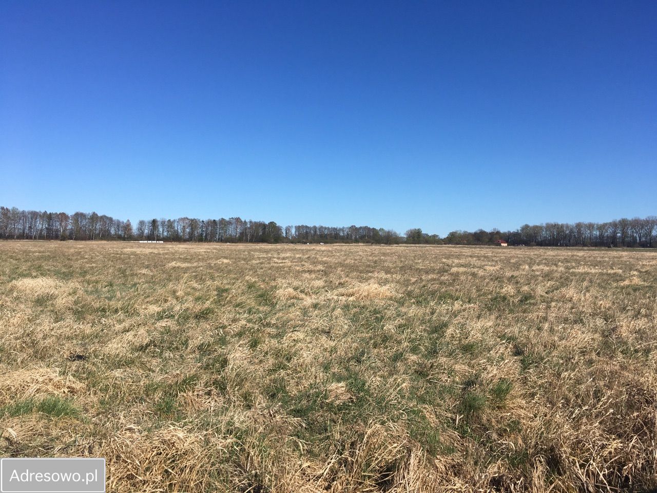 Działka Lędowo. Zdjęcie 3