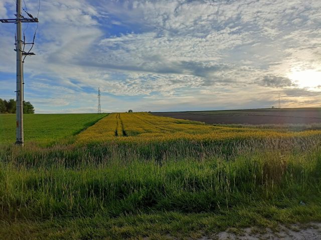 Działka siedliskowa Wola Zgłobieńska Lisiaki. Zdjęcie 1