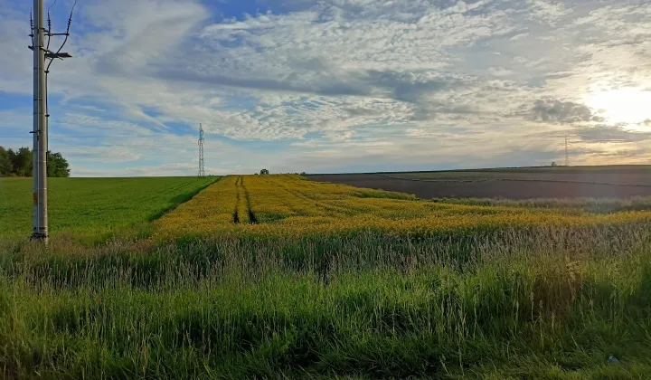 Działka siedliskowa Wola Zgłobieńska Lisiaki