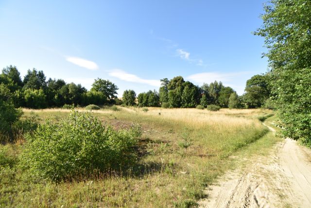 Działka rolno-budowlana Zła Wieś, Klonowa. Zdjęcie 2