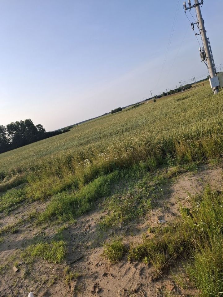 Działka rekreacyjna Lipno. Zdjęcie 7