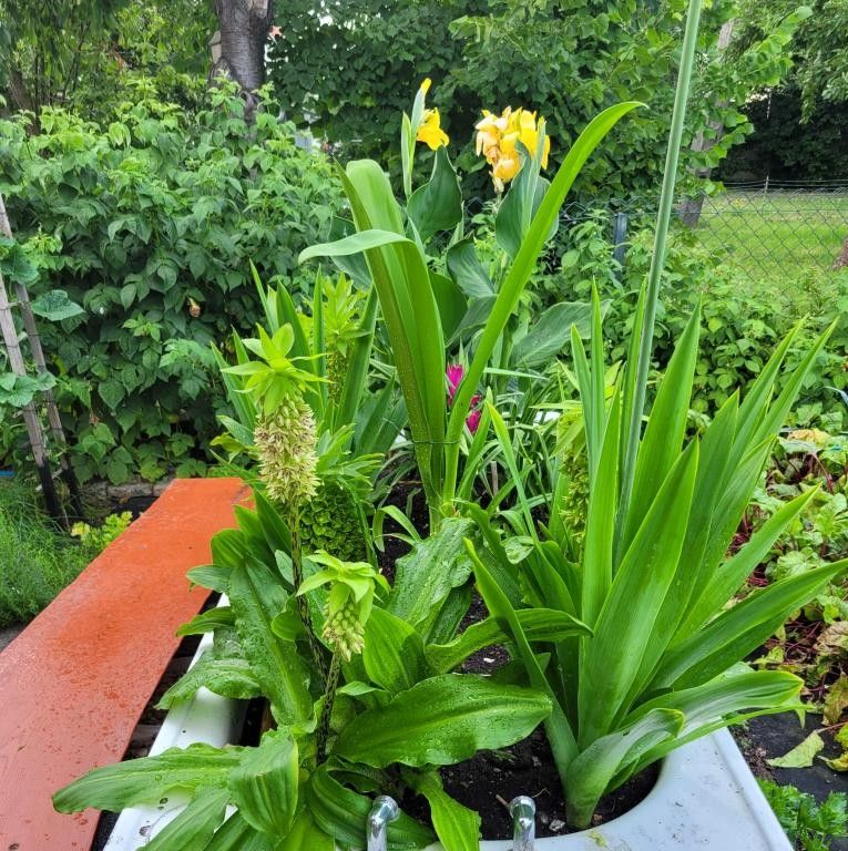 Działka rekreacyjna Wrocław Fabryczna, ul. Wojanowska. Zdjęcie 14