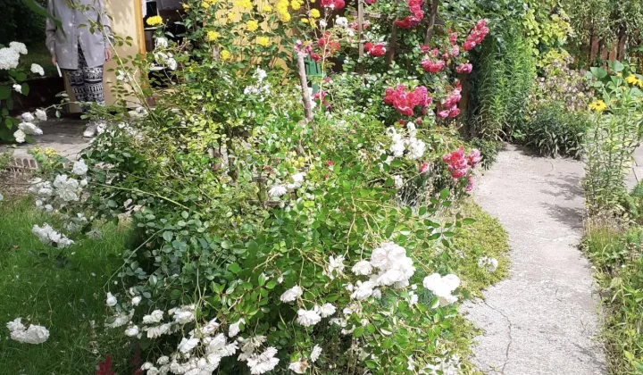 Działka rod Olsztyn Nagórki, al. Aleja Generała Władysława Sikorskiego