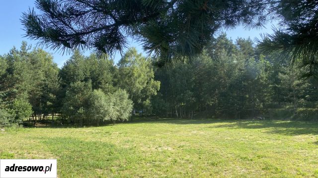 siedlisko, 5 pokoi Czarnowo. Zdjęcie 18