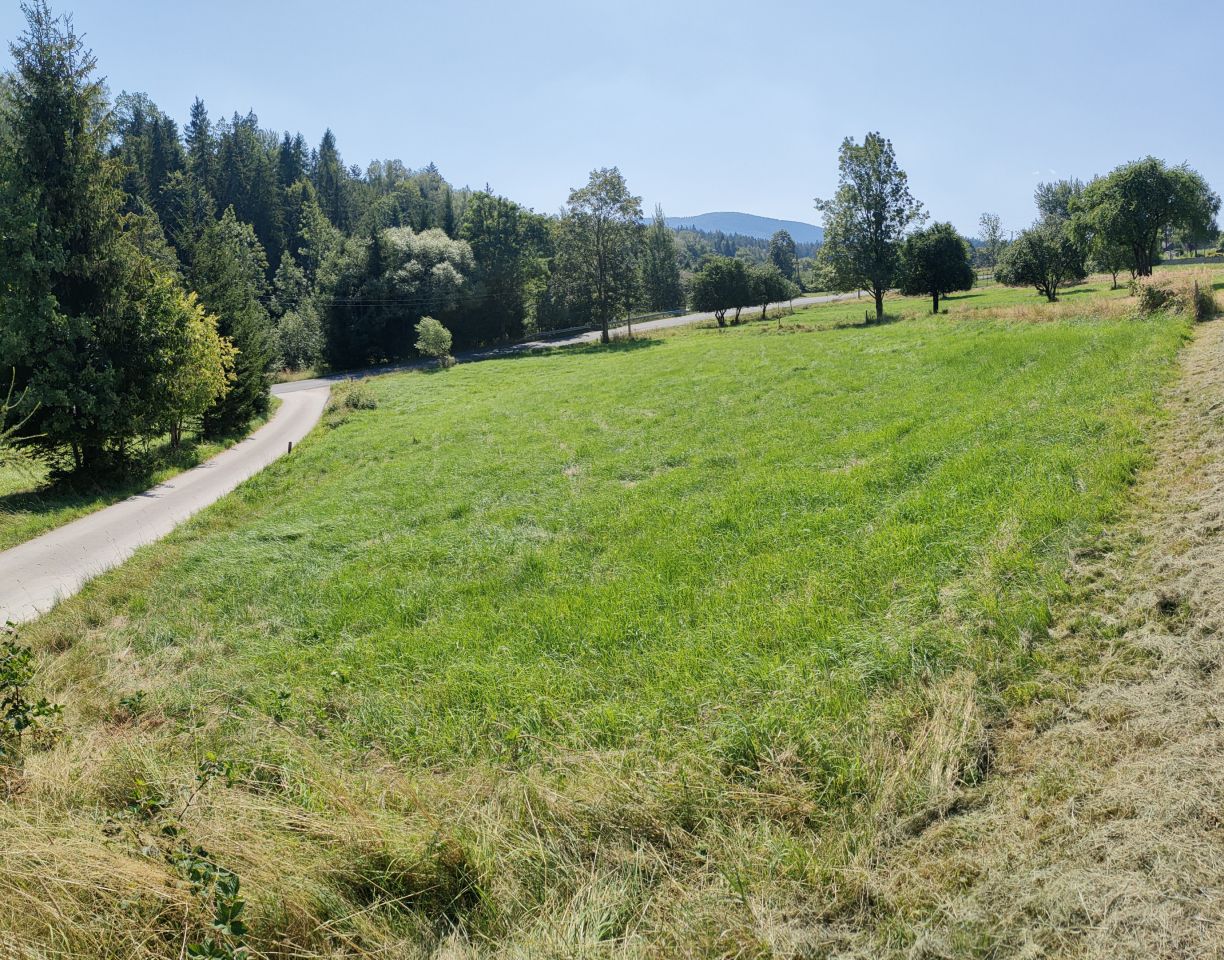 Działka budowlana Kurów Rzepki. Zdjęcie 6