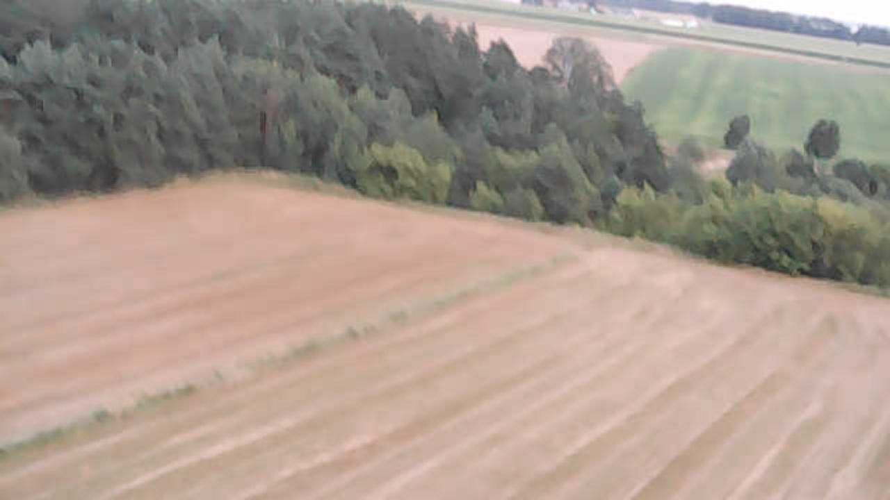 Działka budowlana Czerwone, Czerwone kolonia. Zdjęcie 16