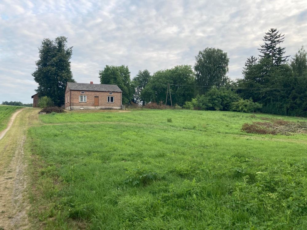 gospodarstwo Buchałowice. Zdjęcie 5