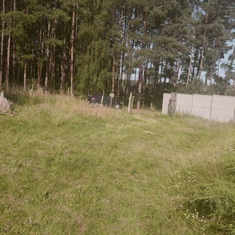 Działka budowlana Wilkanowo. Zdjęcie 1