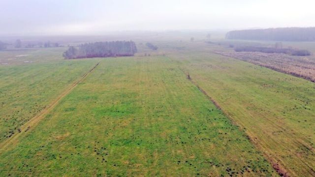 Działka rolna Siedliska. Zdjęcie 7