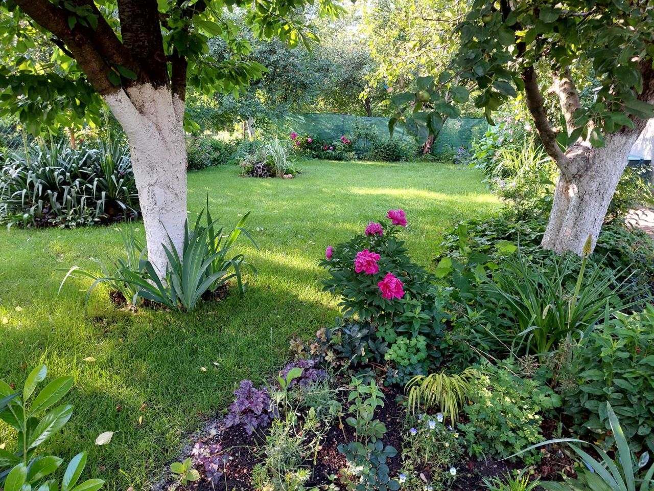 Działka rod Opole. Zdjęcie 7