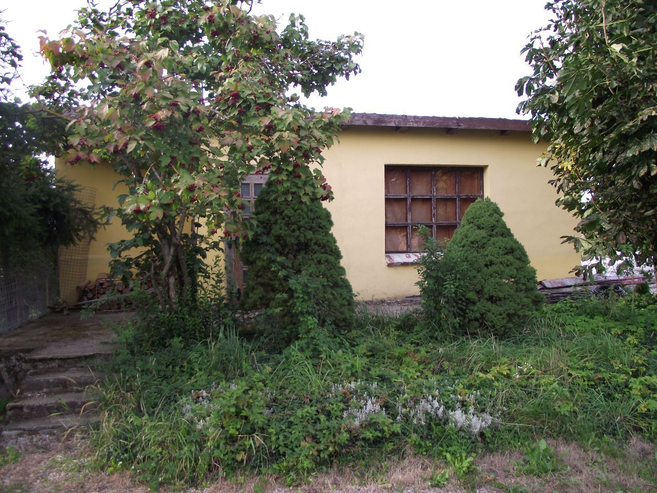 gospodarstwo, 6 pokoi Węgorzewo. Zdjęcie 12