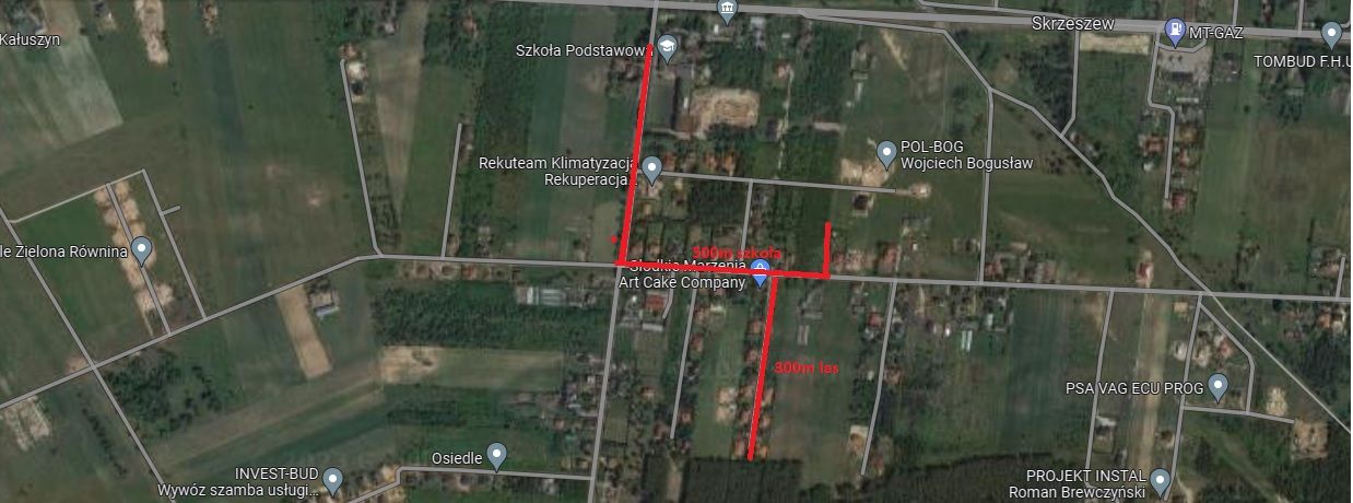 dom wolnostojący, 5 pokoi Skrzeszew, ul. Szkolna. Zdjęcie 2