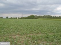 Działka budowlana Kleszczewo, ul. Brzozowa. Zdjęcie 2