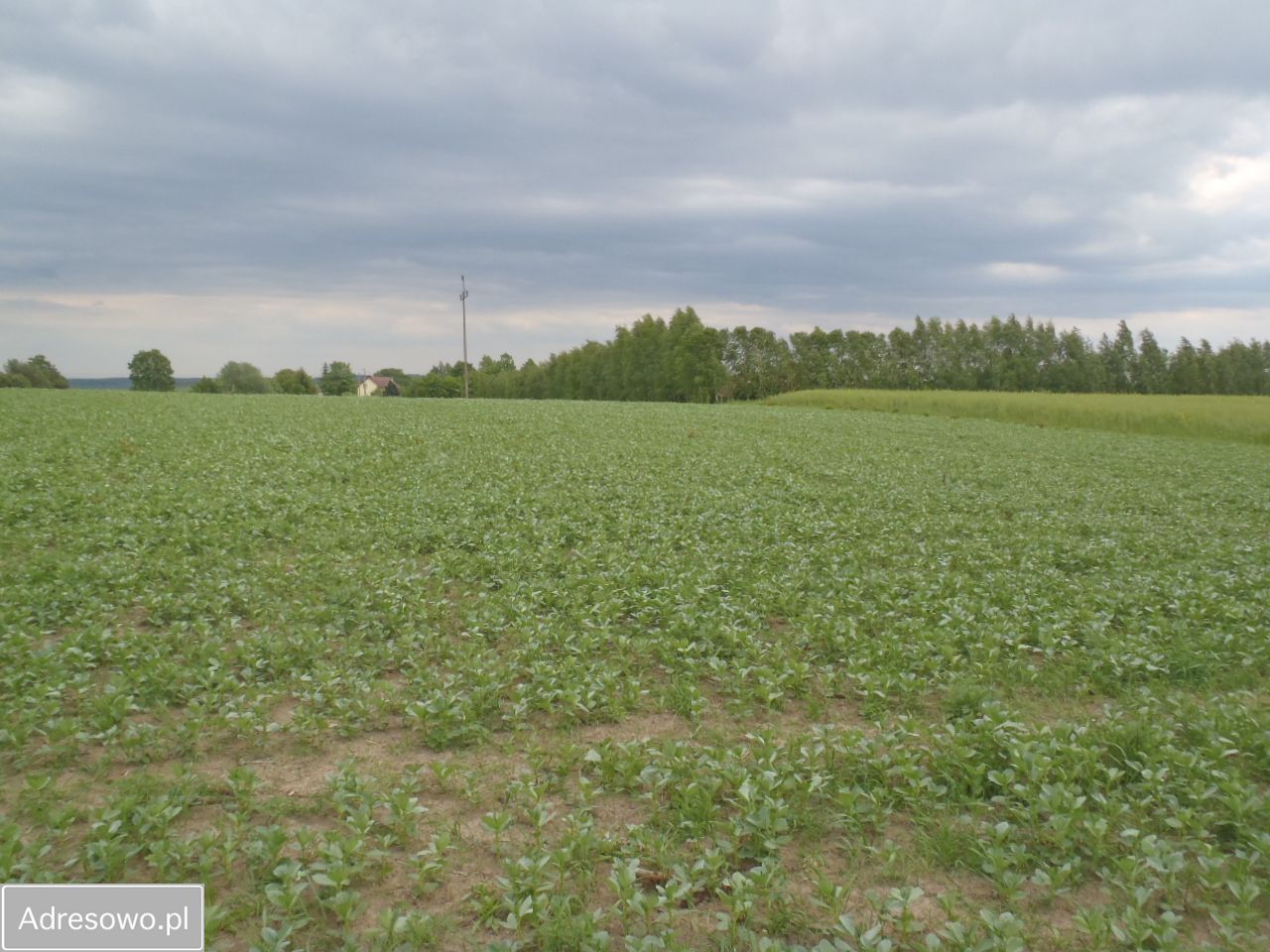 Działka budowlana Kleszczewo, ul. Brzozowa. Zdjęcie 3