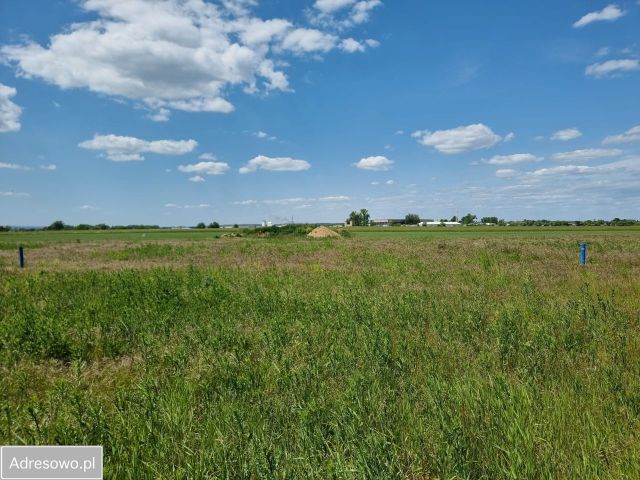 Działka budowlana Bartoszów. Zdjęcie 1