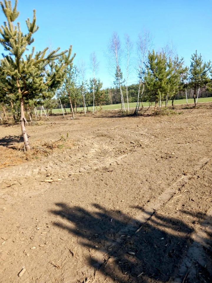 Działka rolno-budowlana Gucin. Zdjęcie 4