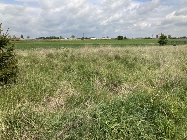 Działka budowlana Sokołów Podlaski, ul. Janusza Korczaka. Zdjęcie 1