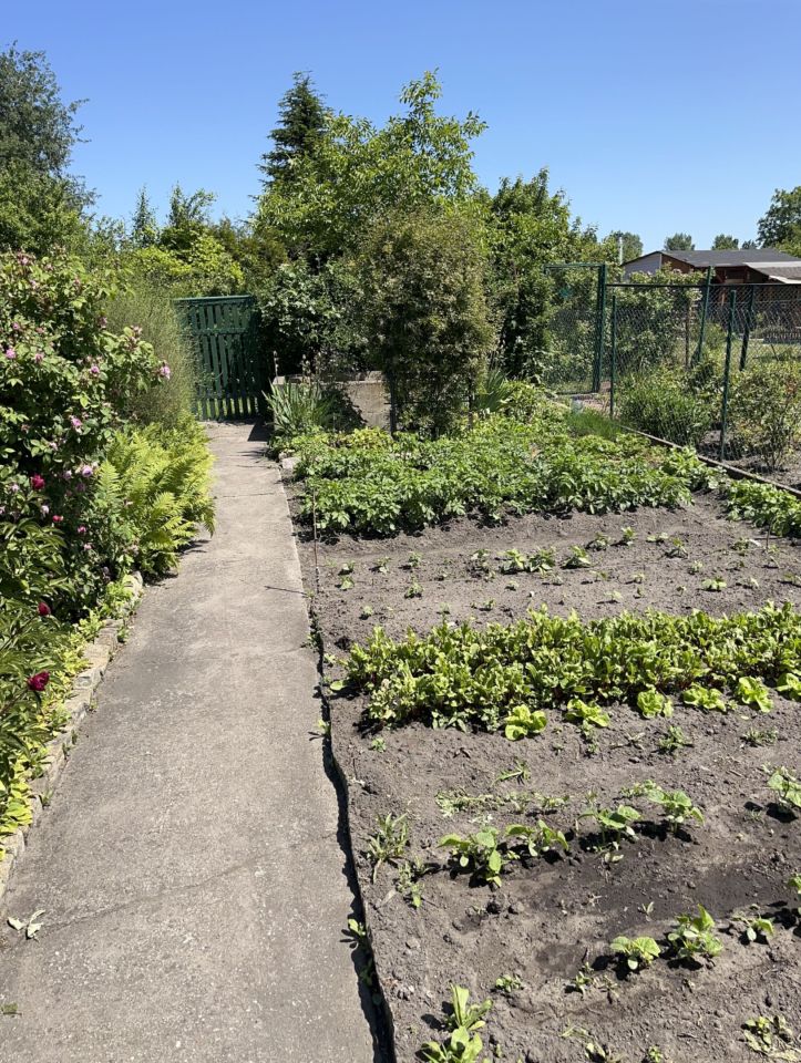 Działka rod Gdańsk Olszynka, ul. Modra. Zdjęcie 2