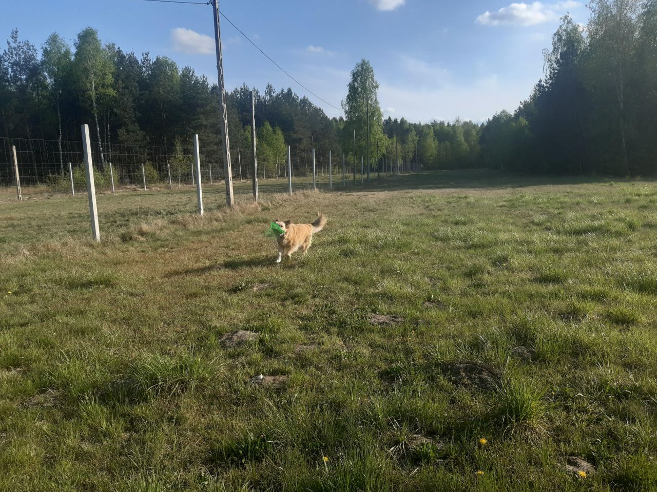 gospodarstwo, 3 pokoje Adampol, ul. Jana Pawła II. Zdjęcie 8