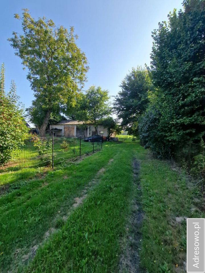 siedlisko, 3 pokoje Tomaszowice-Kolonia. Zdjęcie 5