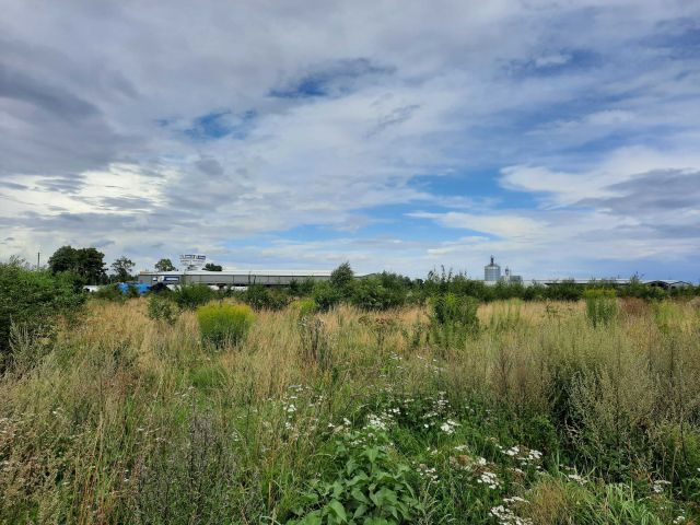 Działka budowlana Czersk, ul. Firmowa. Zdjęcie 1