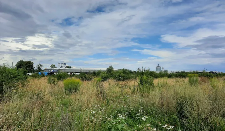 Działka budowlana Czersk, ul. Firmowa