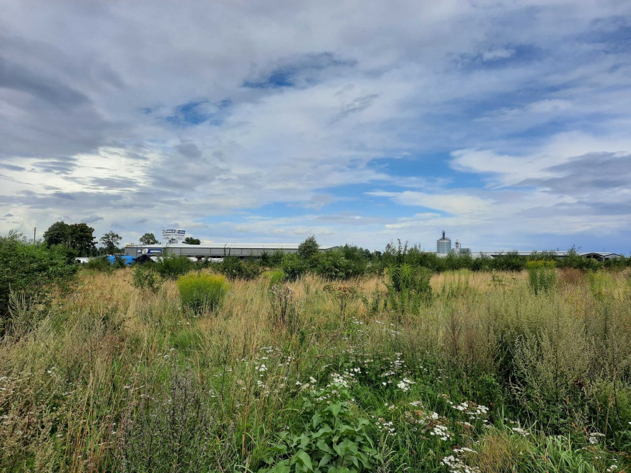 Działka budowlana Czersk, ul. Firmowa. Zdjęcie 1