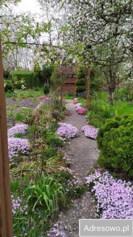 Działka rekreacyjna Zabrze, ul. Jana Galla. Zdjęcie 1