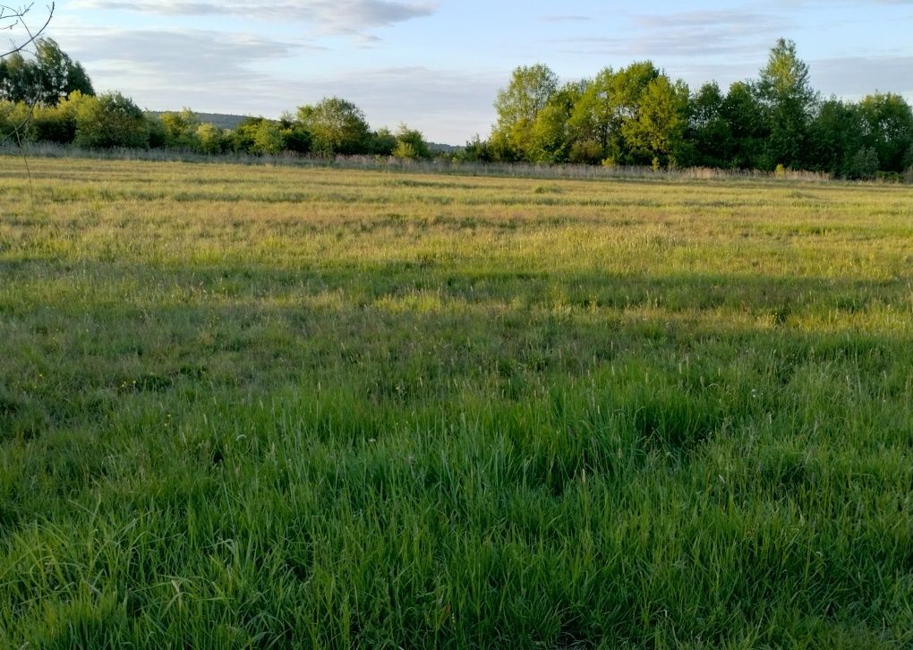 Działka budowlana Tumlin-Dąbrówka. Zdjęcie 8