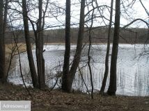 Działka rekreacyjna Chłopowo. Zdjęcie 2