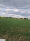 Działka rolno-budowlana Jabłonowo. Zdjęcie 1