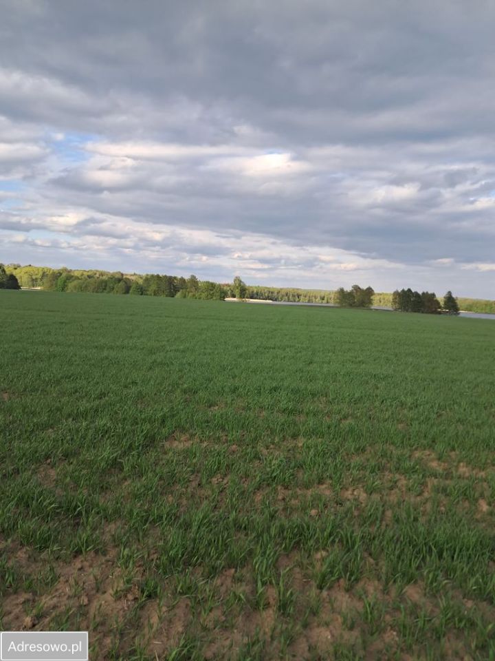 Działka inwestycyjna Jabłonowo. Zdjęcie 2