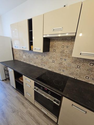 Mieszkanie 1-pokojowe Ruda Śląska Orzegów, ul. Królowej Jadwigi. Zdjęcie 4