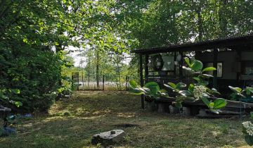 Działka rolna Nowe Czaple